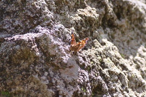 d0251807_18172840.jpg