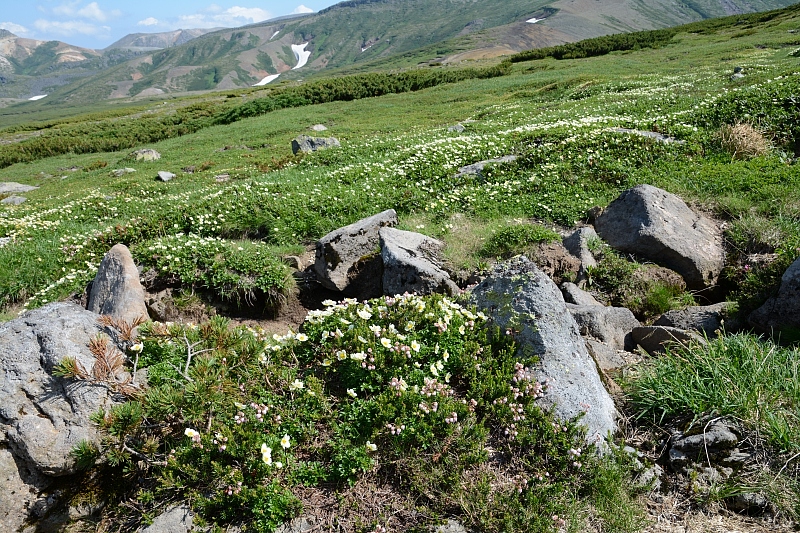 a0248508_1313961.jpg