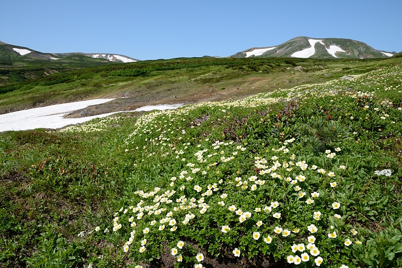 a0248508_7145353.jpg