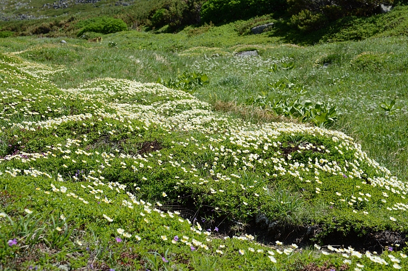 a0248508_7171328.jpg