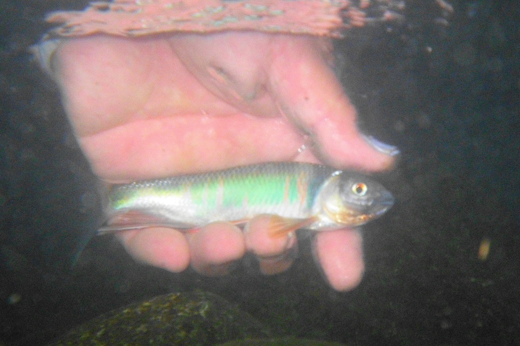 e0123808_2101572.jpg