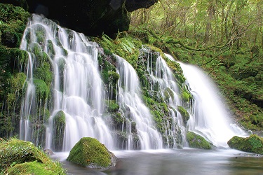b0159210_1550110.jpg
