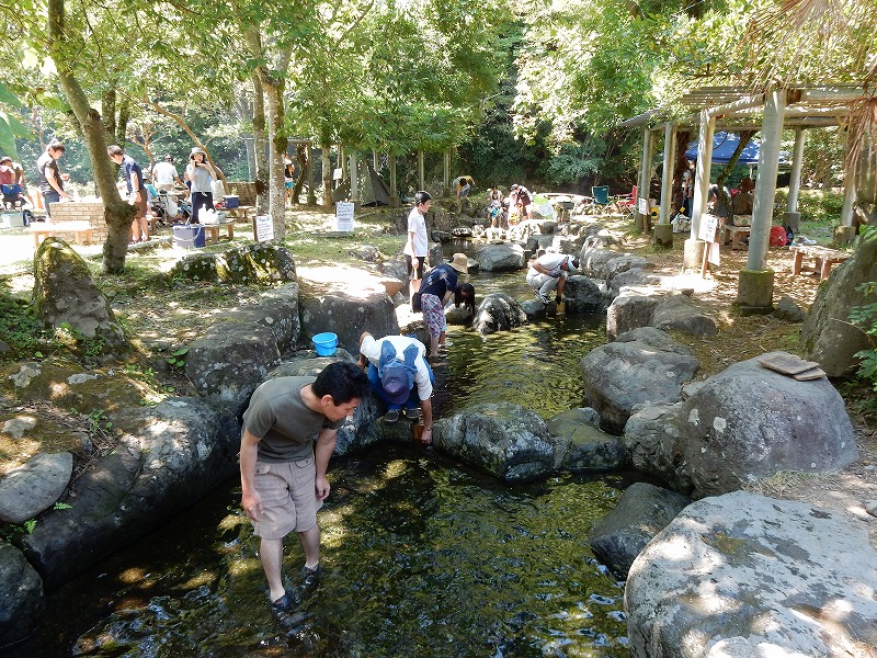 f0182513_23441321.jpg
