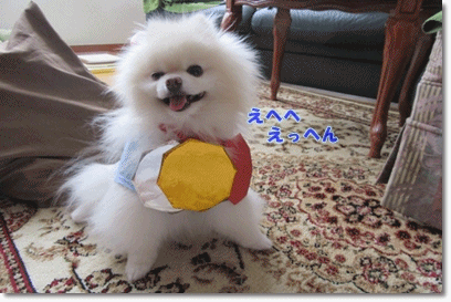 b0167519_10421398.gif