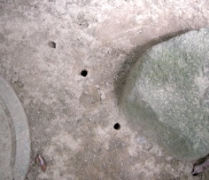 d0101522_10422476.jpg