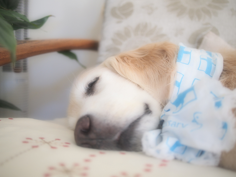 おまじない*おまじない*_f0227228_2172778.jpg