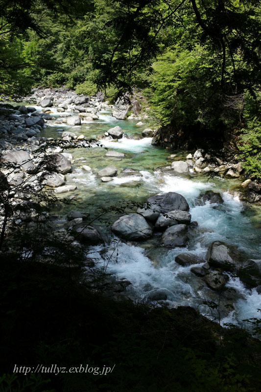 d0108132_18392010.jpg