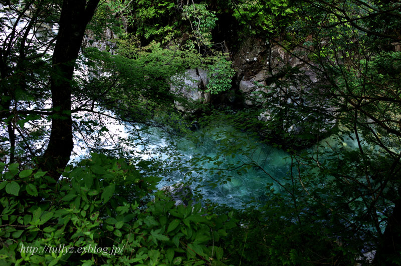 d0108132_1839960.jpg