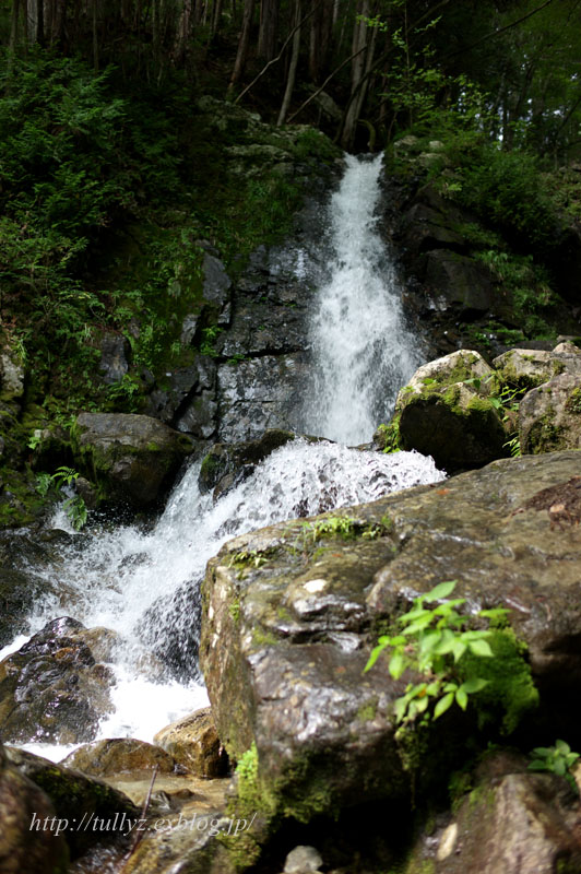 d0108132_1844419.jpg