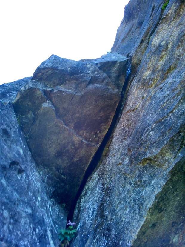 d0107938_13404480.jpg