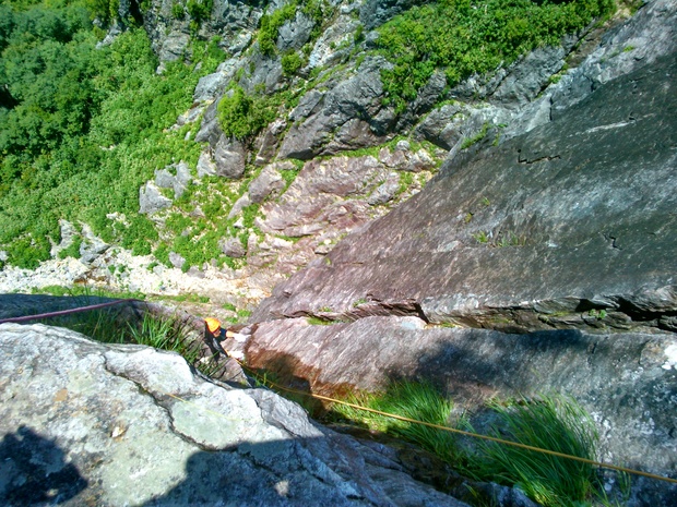 d0107938_1483021.jpg