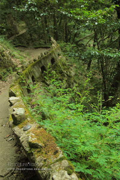 夏の峡谷トレッキング①**岩場の妖精たちを求めて_b0197639_17244091.jpg