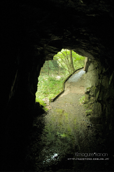 夏の峡谷トレッキング①**岩場の妖精たちを求めて_b0197639_17254659.jpg