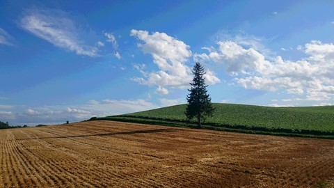 北海道一人旅・続_a0080544_14513431.jpg