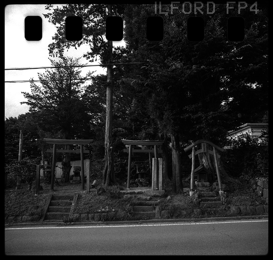 ましかく写真】Rolleiflex SL26 ― レンズ交換式インスタマチック ましかく写真】Rolleiflex SL26 ― レンズ交換式インスタマチック