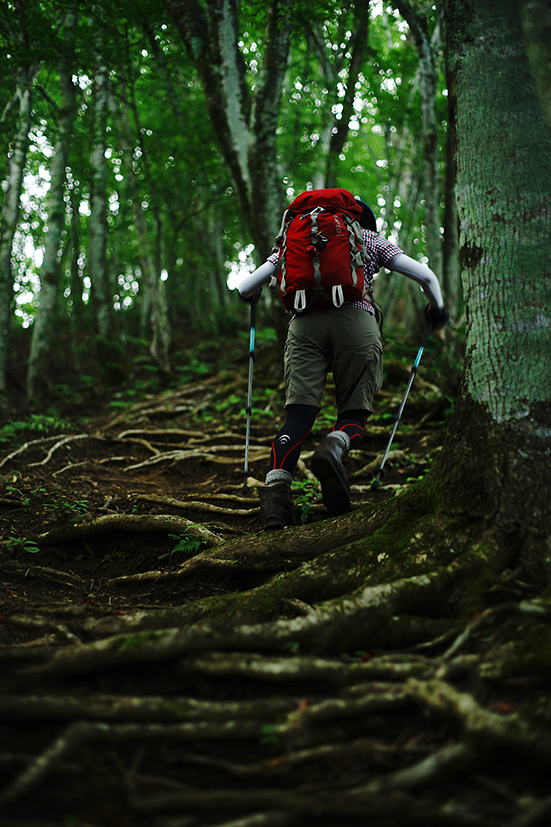 節約登山で三頭山周回_f0016656_22421781.jpg