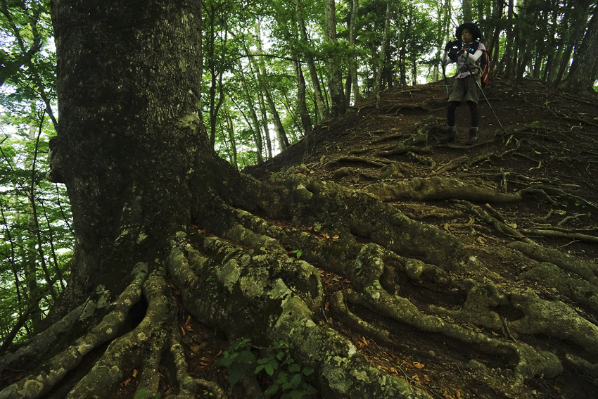 節約登山で三頭山周回_f0016656_224316100.jpg