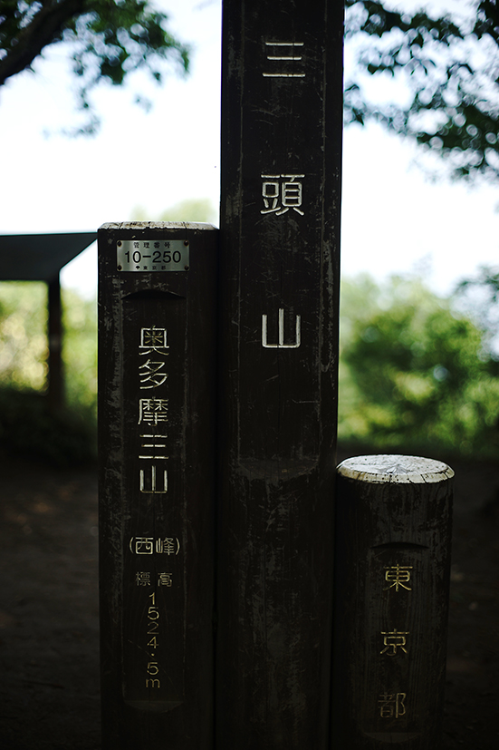 節約登山で三頭山周回_f0016656_22452263.jpg