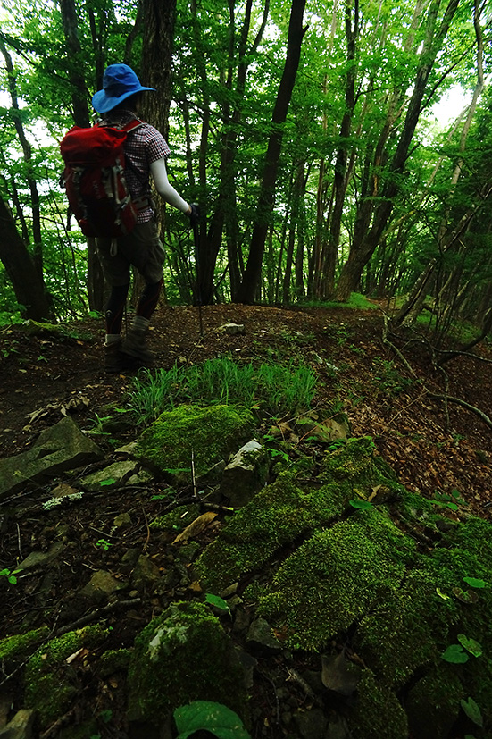 節約登山で三頭山周回_f0016656_22455796.jpg