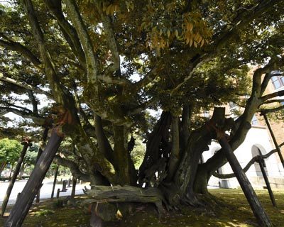 石川県　金沢城公園と兼六園_e0035757_00520754.jpg