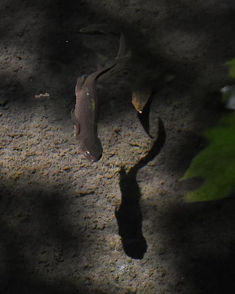 e0035757_00542425.jpg