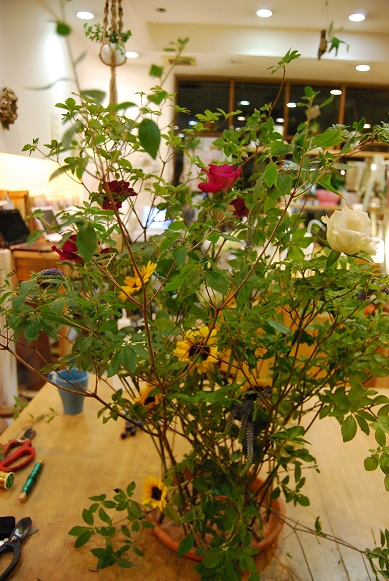 8月の定期フラワーレッスン今日から始まりました!_a0201358_18455932.jpg