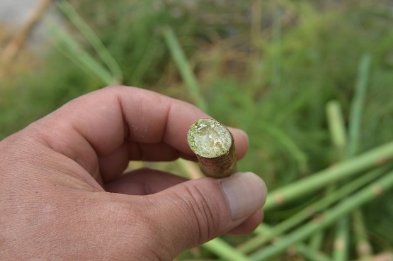 f0186462_00371750.jpg