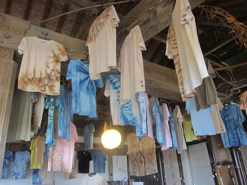 Iriomote Island-9._c0153966_17581582.jpg