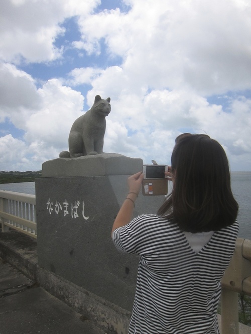 Iriomote Island-9._c0153966_18192696.jpg