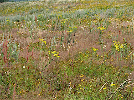 e0357367_0225859.jpg