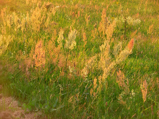 e0357367_0231189.jpg
