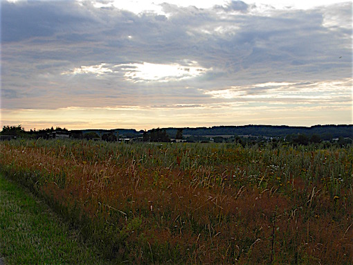 e0357367_0514261.jpg