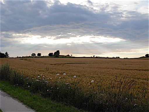 e0357367_0515520.jpg