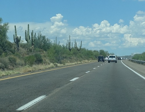 d0193569_1822285.jpg