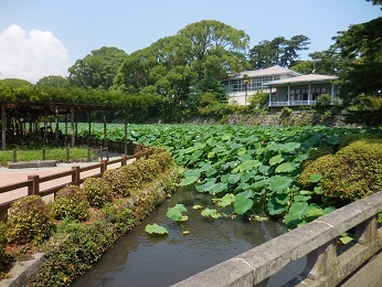 新・小田原城_e0033570_20474676.jpg