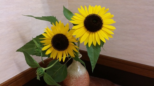 朝からええ事ありました♪_a0200771_17165850.jpg
