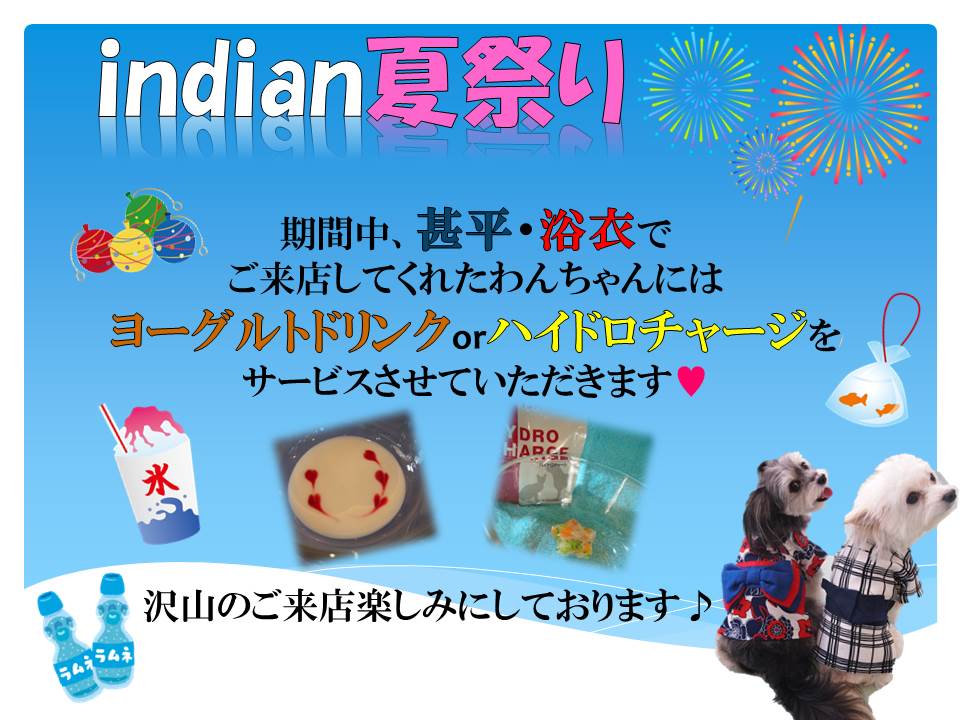 indian夏祭り☀_c0168473_16272171.jpg