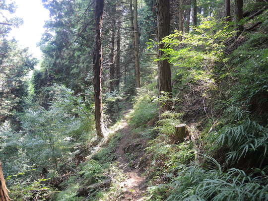 e0232277_13324879.jpg