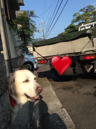 f0315081_21513206.jpeg