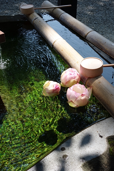 b0018682_9461812.jpg