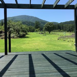 夏のビューガーデン_a0191183_1874986.jpg