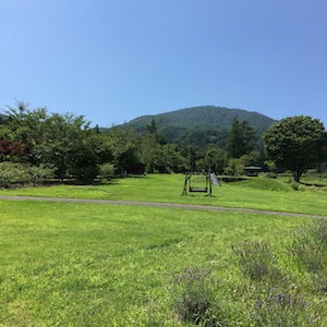 夏のビューガーデン_a0191183_1875483.jpg