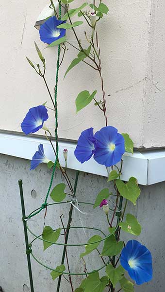 f0212586_1011318.jpg