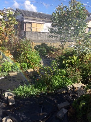 c0096287_18050922.jpeg