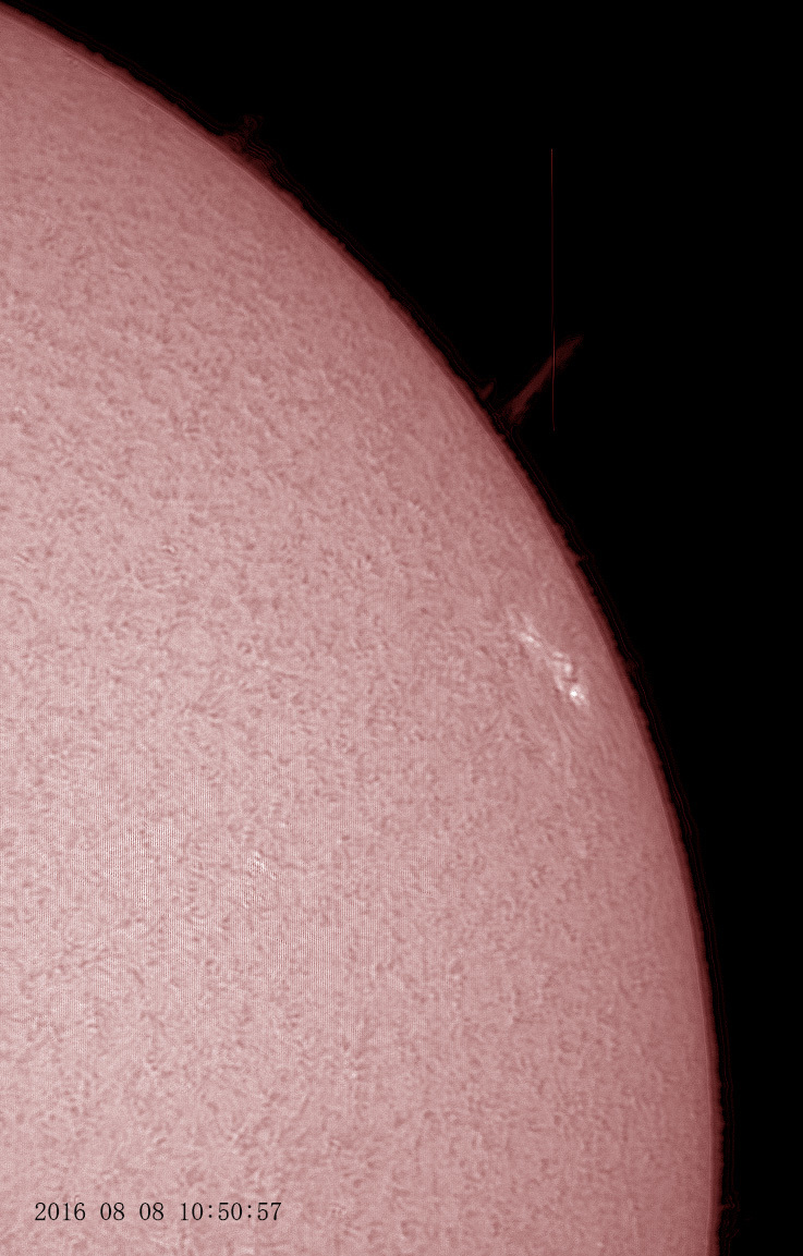8月8日の太陽_e0174091_15233794.jpg