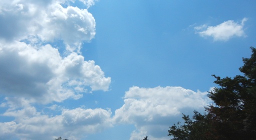 a0236300_11383181.jpg