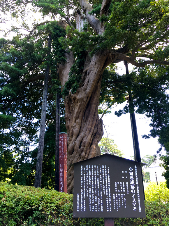 a0267006_16025608.jpg