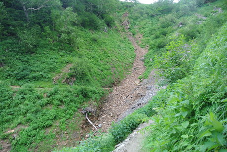 c0242406_11151942.jpg