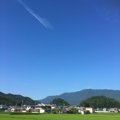 f0273406_16382413.jpg