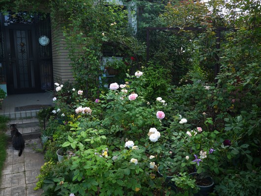 e0205713_22543100.jpg